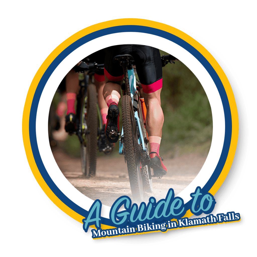 Mountain Biking